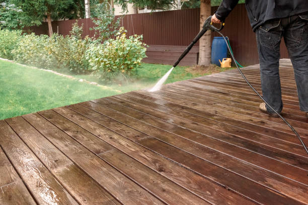 Best Pre-Holiday Cleaning  in Napoleon, OH
